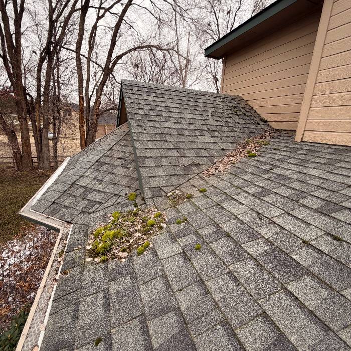 The Ultimate Guide to Exterior Cleaning in the Treasure Valley