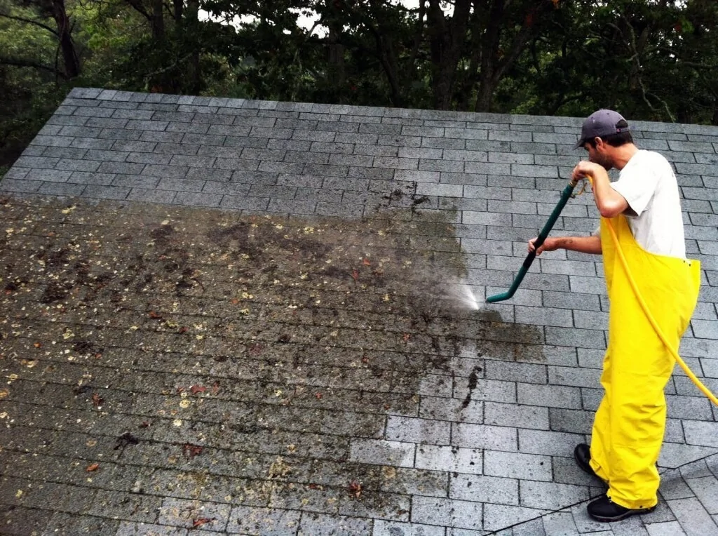 Roof Cleaning & Moss Removal