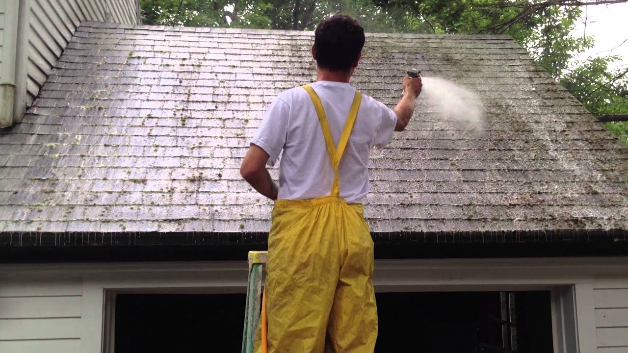 Roof Cleaning & Moss Removal: Why It Matters More Than You Think
