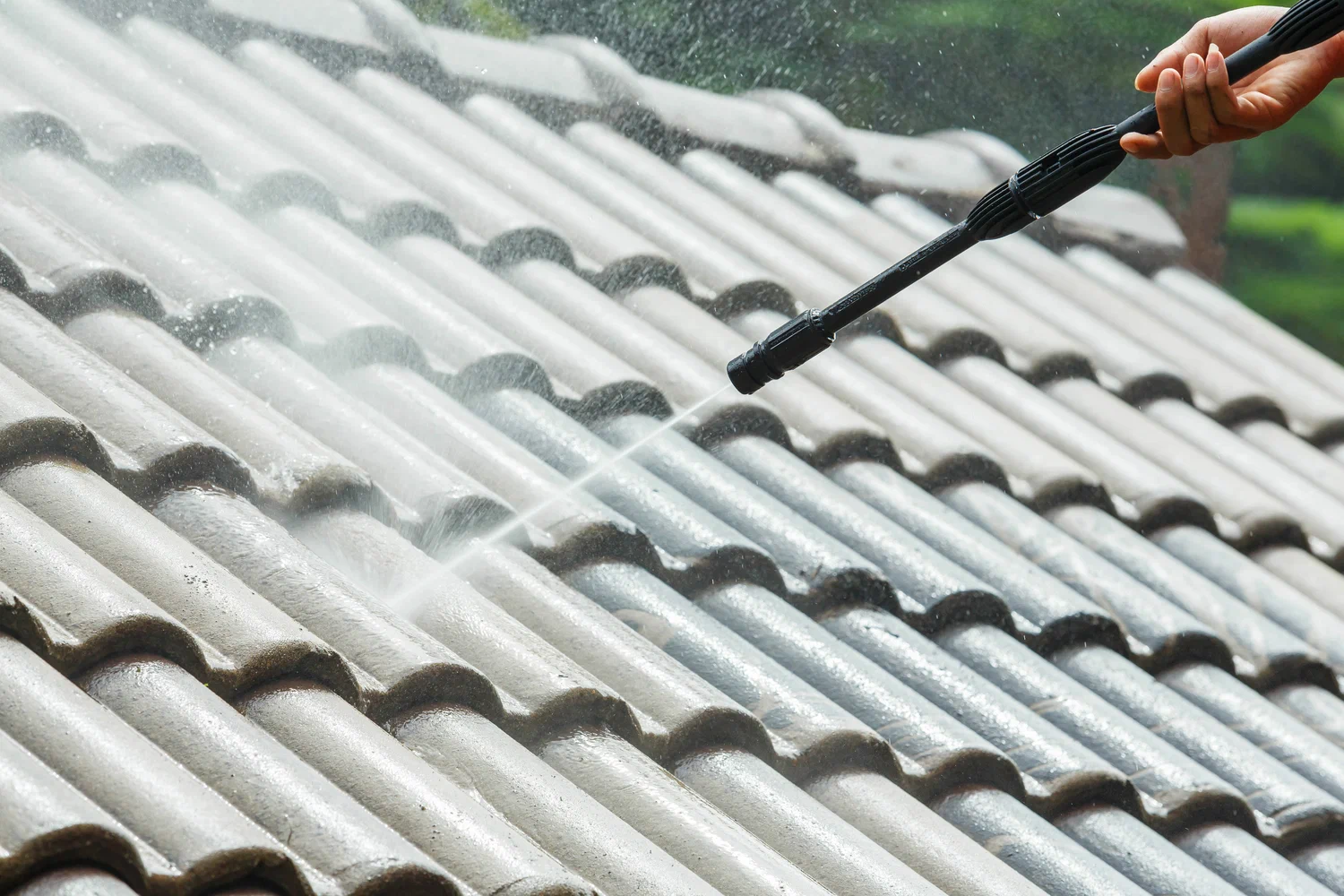 Roof Washing Service Meridian – Professional Roof Cleaning and Protection